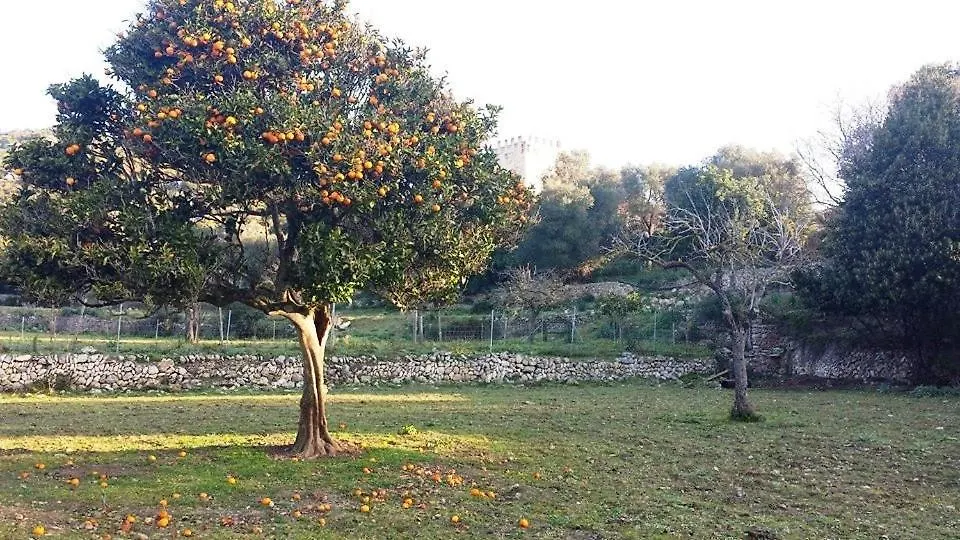 Farm stay Finca Sa Duaia De Dalt Arta Spain